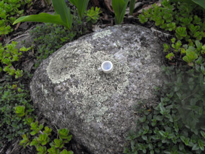 Building Fairy Gardens For Kids